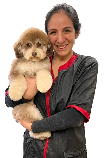 Margarita Broncano - Dog Groomer in East Rutherford NJ